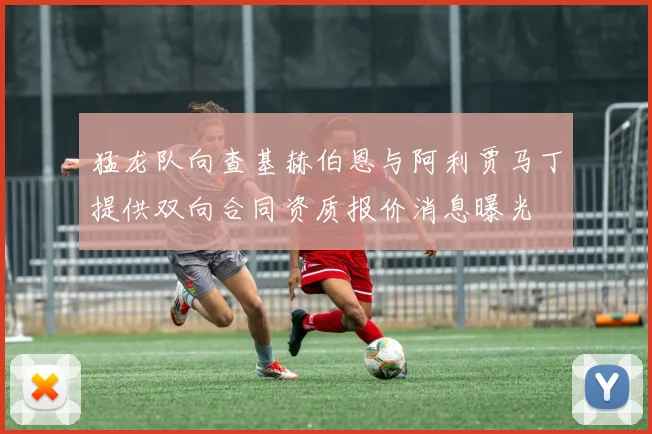 猛龙队向查基赫伯恩与阿利贾马丁提供双向合同资质报价消息曝光